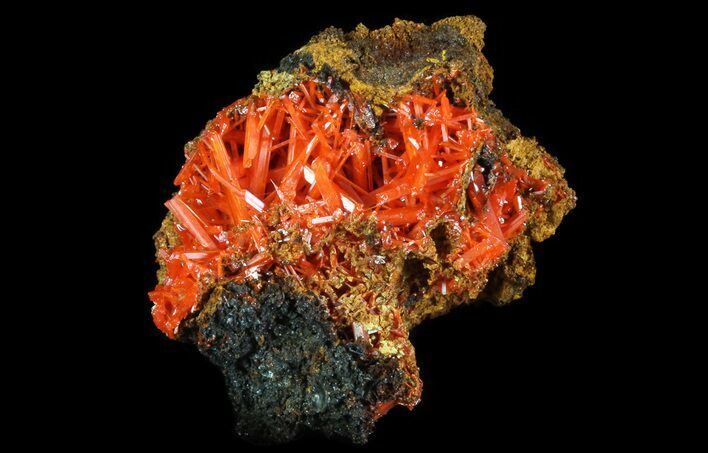 Bright Orange Crocoite Crystals - Tasmania #64330